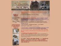 Club Sibérien: Accueil Club Sibérien: Accueil