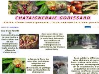 VISITE D'UNE CHATAIGNERAIE A COLLOBRIERES laurent jartoux