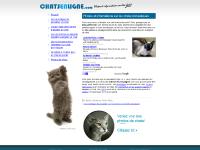 chatsenligne 