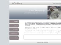 chattonkinois 