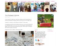 adventure, photography, gadgets  adventure, photography, gadgets