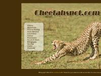cheetahspot.com cheetahspot.com