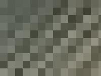 cheval-29.com cheval, cheveaux, equitation