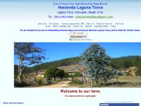 chileanfarmholidays.com chile holidays, chile vacations, chile travel