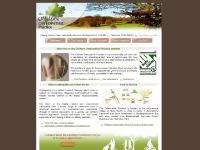 Chiltern Osteopathic Practice. Osteopaths Nr Amersham Chiltern Osteopathic Practice. Osteopaths Nr Amersham