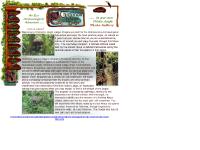 Chiminos Island Lodge, " The Last Mayan Outpost", Guatemala C.A. Chiminos Island Lodge, " The Last Mayan Outpost", Guatemala C.A.