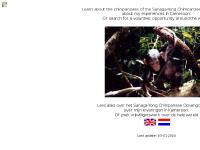 chimps - Welcome to a wonderful place on the web chimps - Welcome to a wonderful place on the web