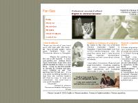 English to Chinese Translation - Fan Gao English to Chinese Translation - Fan Gao