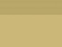 Chin's Place, Best Cantonese Food in Akron