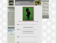 chiwalis.com Forside, Mitt fotoalbum, Min gjestebok chiwalis.com Forside, Mitt fotoalbum, Min gjestebok