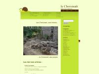 le Choisinaît » hâtons nous lentement…