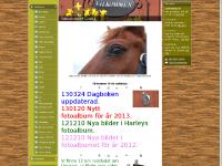 liten circle-l.se skärmbild liten circle-l.se skärmbild