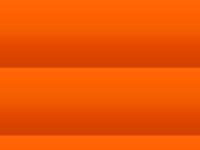Citizen Orange Citizen Orange