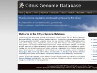 Welcome to the Citrus Genome Database | Citrus Genome Database Welcome to the Citrus Genome Database | Citrus Genome Database