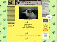 NO*Citrus - www.citrussacredbirma.com NO*Citrus - www.citrussacredbirma.com