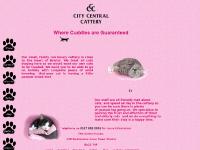 city central cattery
