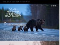 CARL-JOHAN RÅDSTRÖM PHOTOGRAPHY |