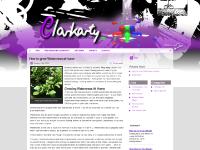 clarkarty.com orginal art, art, design