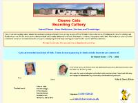  Guest Pictures, Picture Gallery