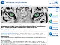 CLS | Title Insurance Solutions CLS | Title Insurance Solutions