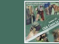 Club canin La Bruyère - Les Hurle Chapellois Club canin La Bruyère - Les Hurle Chapellois