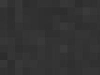 liten clumberspaniel.nu skjermbilde