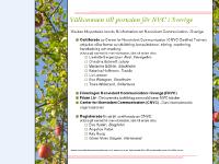 liten cnvc.se skärmbild liten cnvc.se skärmbild