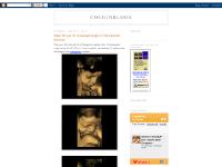 cochinblogs.blogspot.com cochinblogs.blogspot.com