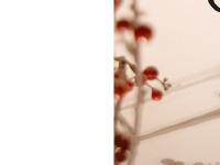 COFEL GROUPE - L'Excellence du sommeil COFEL GROUPE - L'Excellence du sommeil