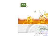 COGENGREEN: Cog COGENGREEN: Cog