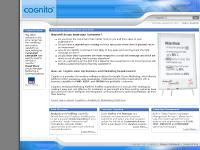 Analytical Marketing Campaign Management and Automation Solutions Analytical Marketing Campaign Management and Automation Solutions