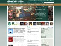 liten colostate.edu skärmbild liten colostate.edu skärmbild