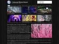 Decorative Branches, Decorative Twigs, Curly Willow Twigs, Birch Branches