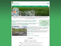 Welcome to Conservation 20/20