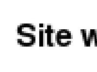 consultmirror.com