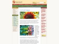 coolfoodscampaign.org Make a Donation, WHAT'S COOL NOW?