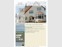 Copper Beech Copper Beech