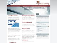 CopperMan Consulting CopperMan Consulting