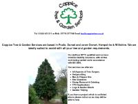 Arborist, Hedge, Cutting, Hedgecutting Arborist, Hedge, Cutting, Hedgecutting