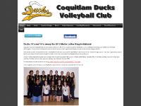 Alumni, Accomplishments, Teams, U17/U18 High Performance Alumni, Accomplishments, Teams, U17/U18 High Performance