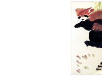 statistik för coredump - Beaver Peak Raccoon Fanciery statistik för coredump - Beaver Peak Raccoon Fanciery