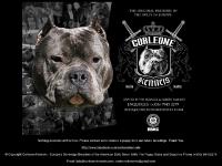 The Original Corleone Kennels - Europe's Sovereign Breeders of the American Bully . EBKC Registered. For Puppy Sales and Enquiries Phone (+356)99452279 , (+356)99589000, Email: Info@corleonekennels.com, corleonekennels@gmail.com.