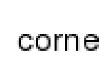 cornellophthalmology cornellophthalmology