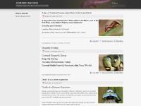 cornishnature.co.uk Cornish Nature, Hits: 80, Hits: 128 cornishnature.co.uk Cornish Nature, Hits: 80, Hits: 128