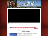 Welkom in Andalusië! Welkom in Andalusië!