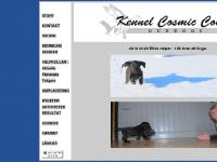 Cosmic Cover's gundogs