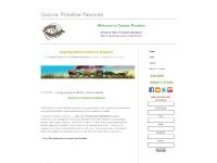 Catalog, BRUCE, Cosmic Primitive Records Catalog, BRUCE, Cosmic Primitive Records