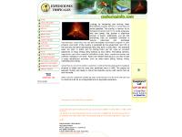 LOCAL FLIGHTS, RENT A CAR, RENT A VAN, LEARN SPANISH  LOCAL FLIGHTS, RENT A CAR, RENT A VAN, LEARN SPANISH