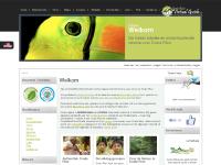 Costa Rica Virtual Guide | Home Costa Rica Virtual Guide | Home