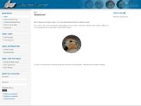  Brooding Quail, Incubating Quail, Old World Quail, New World Quail